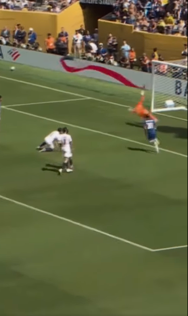 สปอร์ตกูรู้ – Palmer